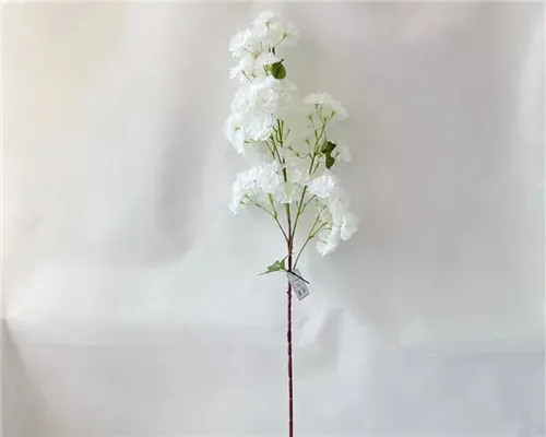 ချယ်ရီ Blossom ပိုးပန်းပွင့်များသည် Sakura Petaling ၏နူးညံ့သိမ်မွေ့သော texture ကိုမည်သို့ပုံသွင်းကြသနည်း။