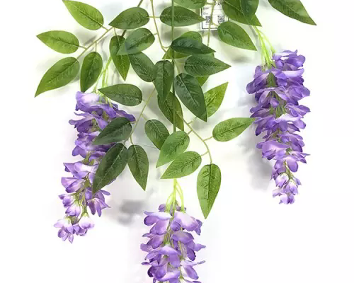 သင့်အိမ်နှင့်ဖြစ်ရပ်များအတွက်အကောင်းဆုံးအတု wisteria ကိုရွေးချယ်နည်း