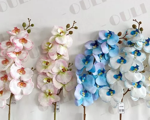 အဘယ်ကြောင့်အတု Orchids ရွေးချယ်ပါ