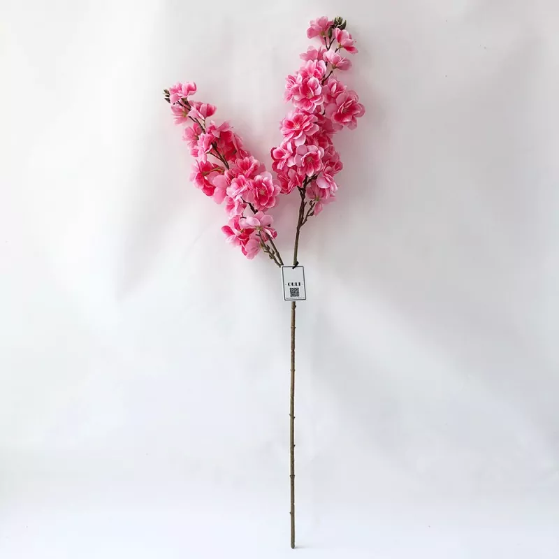 Fuji Cherry Blossom ပန်းများ