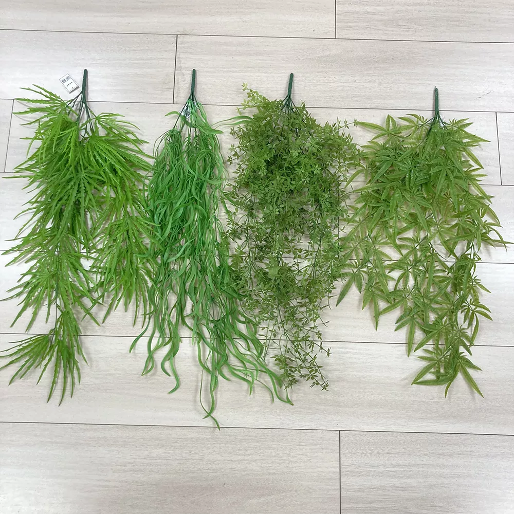 fern on နံရံနံရံဆွဲထား