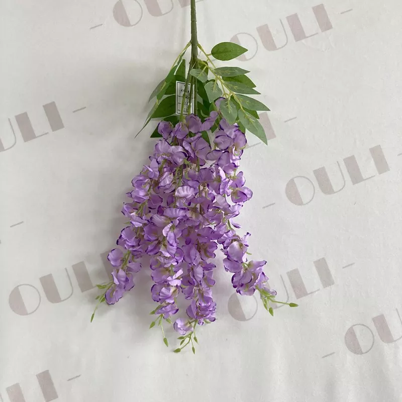FOUX Wisteria ပန်းများ
