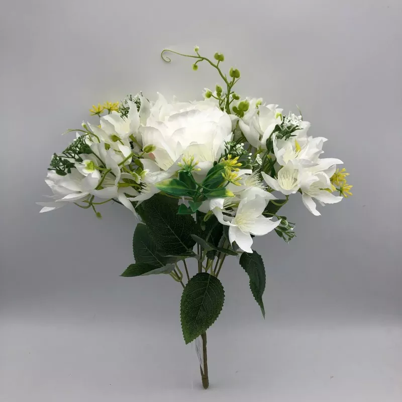 နှင်းပွင့်နှင့်အတူပန်းပွင့်ပန်းပွင့် peony