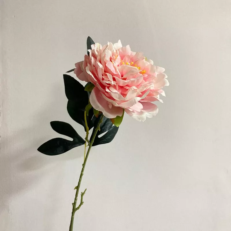 ရှည်လျားသောတစ်ခုတည်းပင်စည်အတု peony
