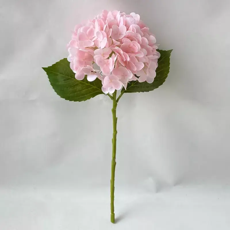 အစစ်အမှန်ထိတွေ့အတု hydrangea