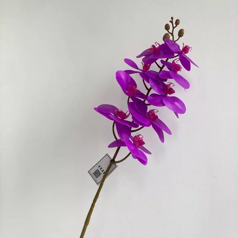 အစစ်အမှန်ထိတွေ့မှုအတု Orchid