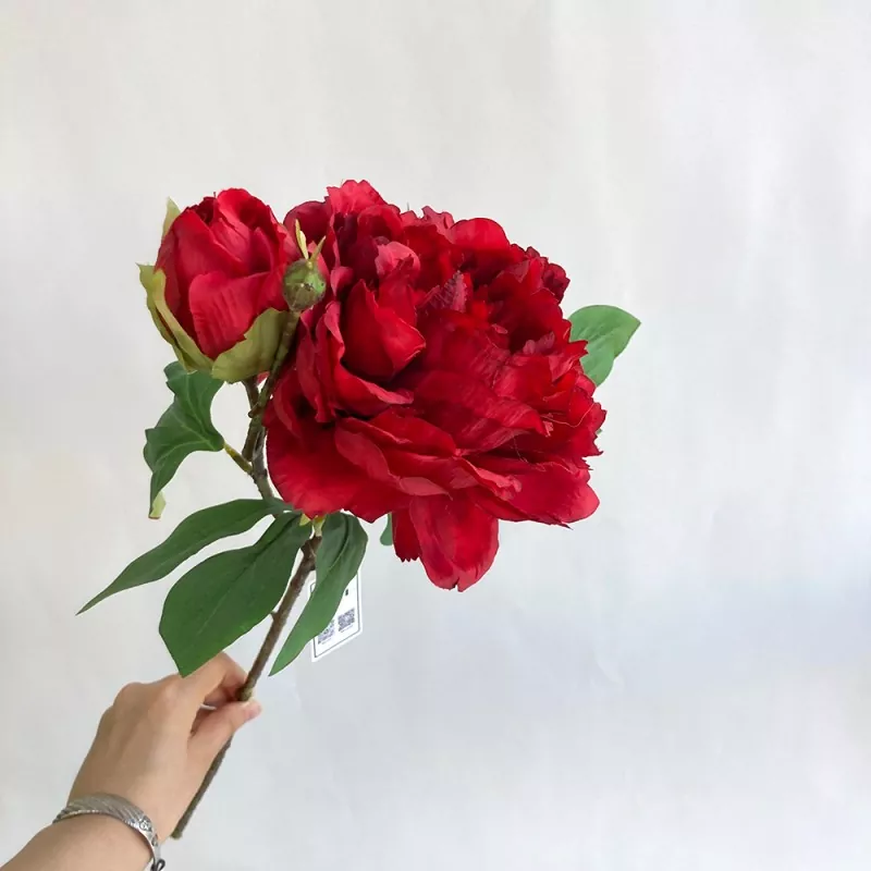 ပိုးမွှားအတု peony ပန်းပွင့်