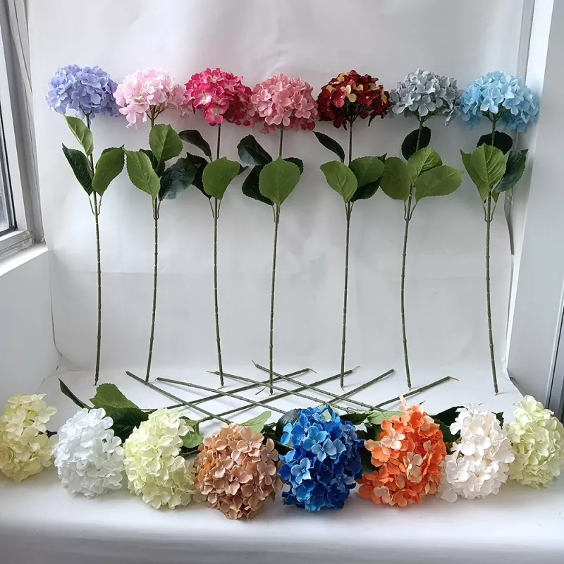 ပိုးအတု hydrangea ပန်းများ
