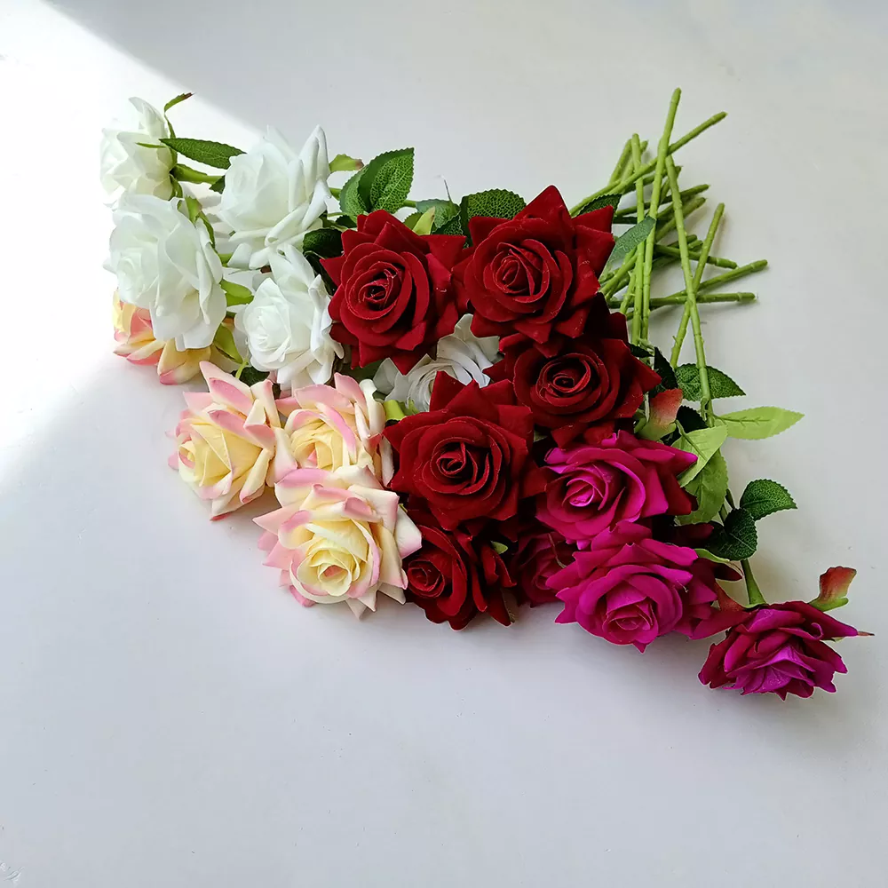 ကတ်တီပါနှင်းဆီပိုးပန်းပွင့်