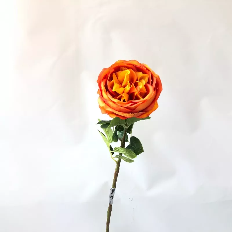 အဖြူအတု Peony ပန်းများ